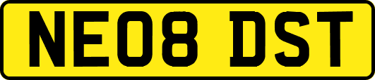 NE08DST