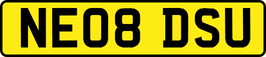 NE08DSU