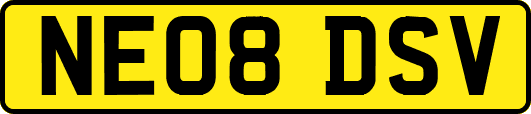 NE08DSV