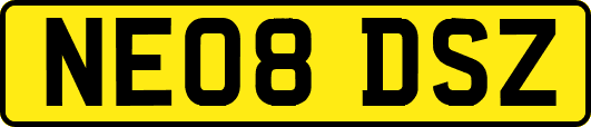 NE08DSZ