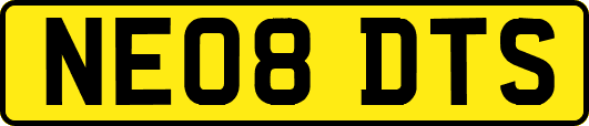 NE08DTS