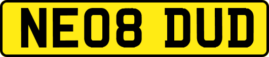 NE08DUD
