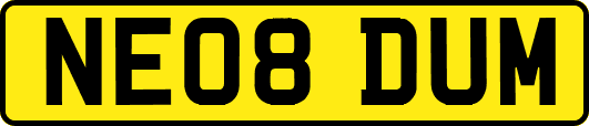 NE08DUM