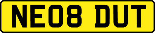NE08DUT