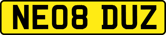 NE08DUZ