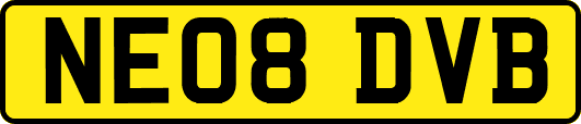 NE08DVB