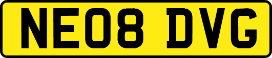 NE08DVG