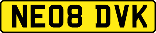 NE08DVK