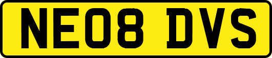 NE08DVS