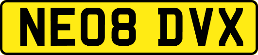 NE08DVX