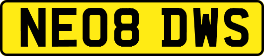 NE08DWS