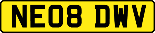 NE08DWV
