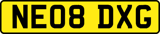 NE08DXG
