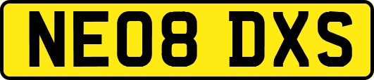 NE08DXS