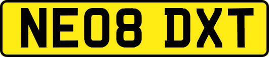 NE08DXT