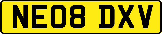 NE08DXV
