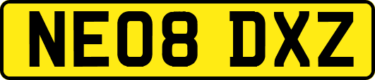 NE08DXZ