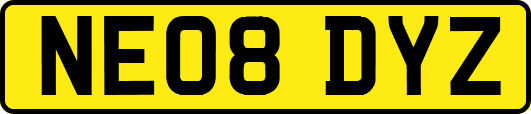 NE08DYZ