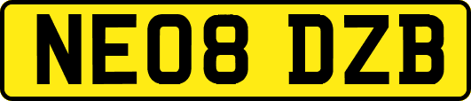 NE08DZB
