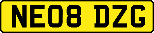 NE08DZG