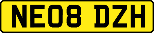 NE08DZH