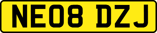 NE08DZJ