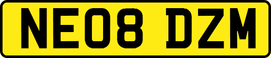 NE08DZM