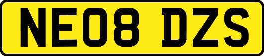 NE08DZS