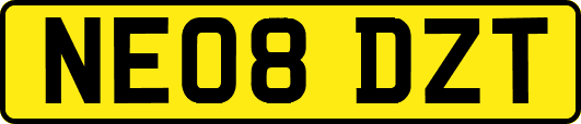 NE08DZT