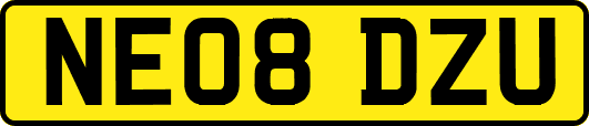 NE08DZU