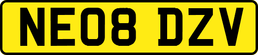 NE08DZV