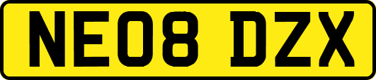 NE08DZX