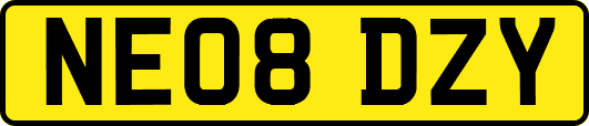 NE08DZY