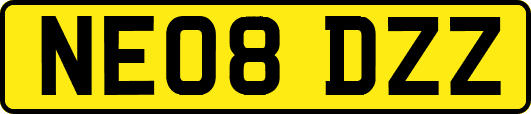NE08DZZ