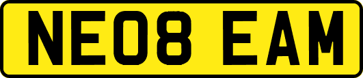 NE08EAM