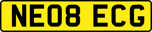 NE08ECG