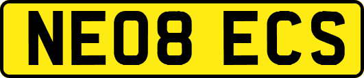 NE08ECS