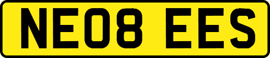 NE08EES