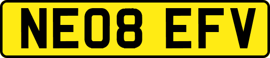 NE08EFV