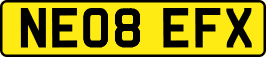NE08EFX