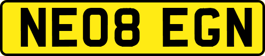 NE08EGN