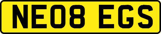 NE08EGS