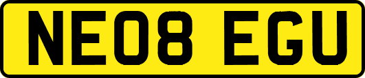 NE08EGU