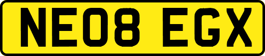 NE08EGX