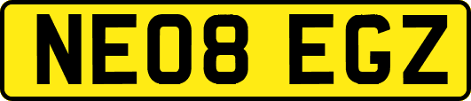 NE08EGZ