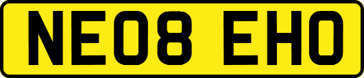 NE08EHO