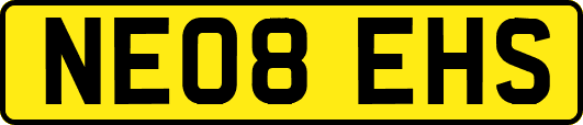 NE08EHS