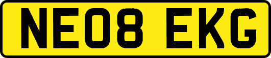 NE08EKG