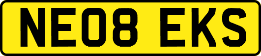 NE08EKS