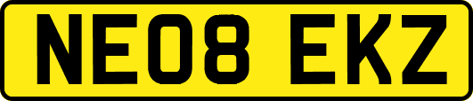 NE08EKZ